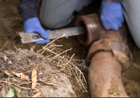 Signs That Your Sewer Line Is Broken In Golden Hill San Diego