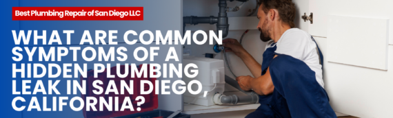 What Are Common Symptoms of a Hidden Plumbing Leak in San Diego, California?