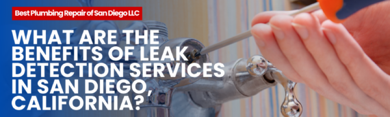 What Are the Benefits of Leak Detection Services in San Diego, California?