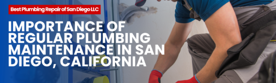 Importance of Regular Plumbing Maintenance in San Diego, California