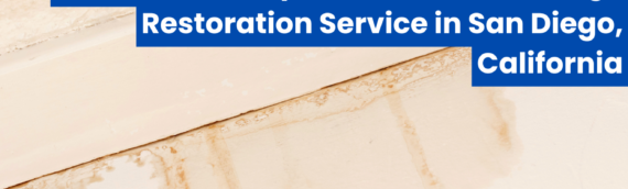 Discover the Top Rated Water Damage Restoration Service in San Diego, California